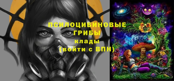не бодяженный Аркадак