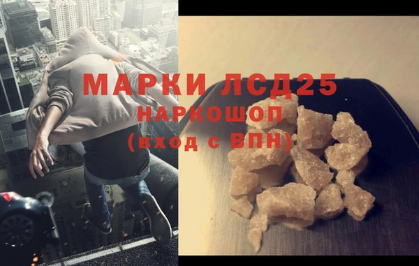 ПСИЛОЦИБИНОВЫЕ ГРИБЫ Алексин