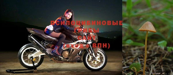 ПСИЛОЦИБИНОВЫЕ ГРИБЫ Алексин