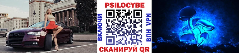 Галлюциногенные грибы ЛСД купить наркотики сайты Камызяк